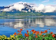 Уникальная природа и достопримечательности Женевского озера