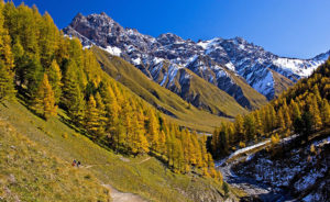 Старейший национальный парк Швейцарии Энгадин